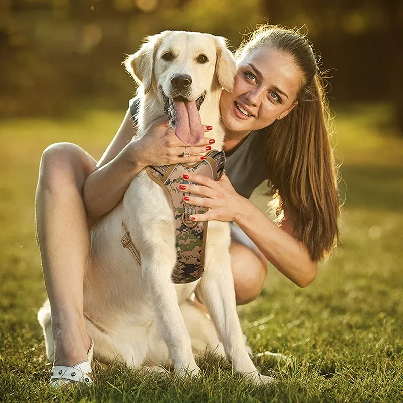 product-800-800 product-800-800