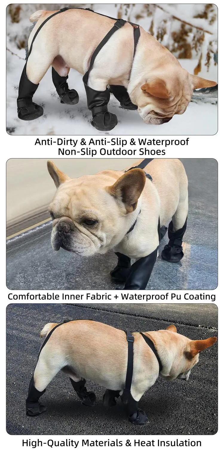 20241227-161634 20241227-161634